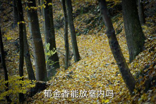  郁金香能放室内吗