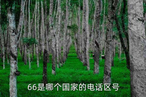 日照长信国际电话号码,微信怎么打国际电话号码