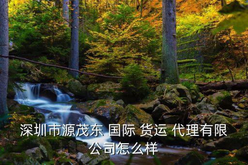 深圳市源茂东 国际 货运 代理有限公司怎么样