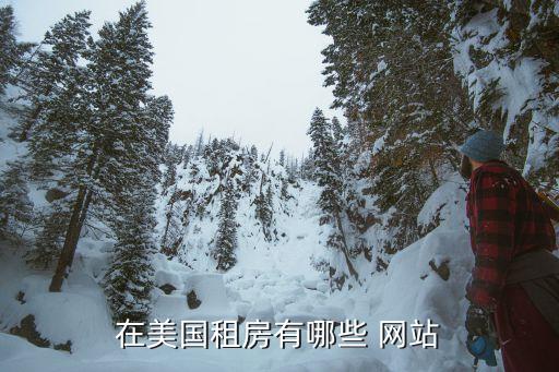 在美国租房有哪些 网站