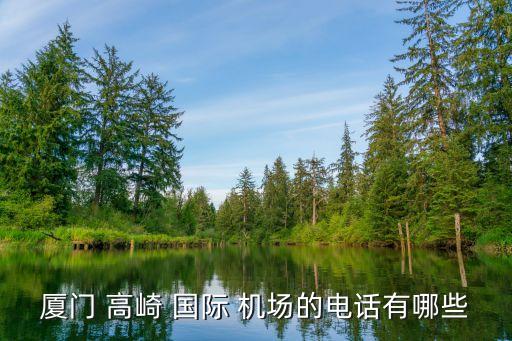厦门 高崎 国际 机场的电话有哪些
