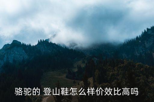 国外登山鞋,户外登山鞋品牌排行