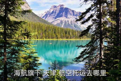 海航旗下 天津 航空托运去哪里
