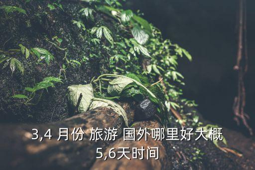 4月份适合去国外哪个国家旅游,2月份适合去哪个城市