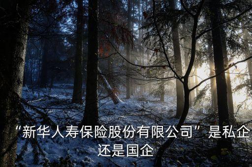 “新华人寿保险股份有限公司”是私企还是国企