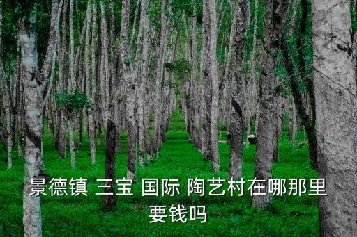 三宝国际陶艺村心得,三宝陶艺村需要门票吗
