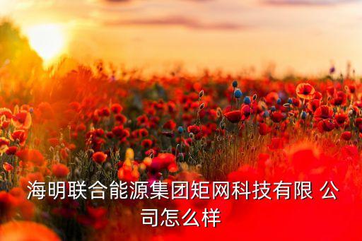  海明联合能源集团矩网科技有限 公司怎么样