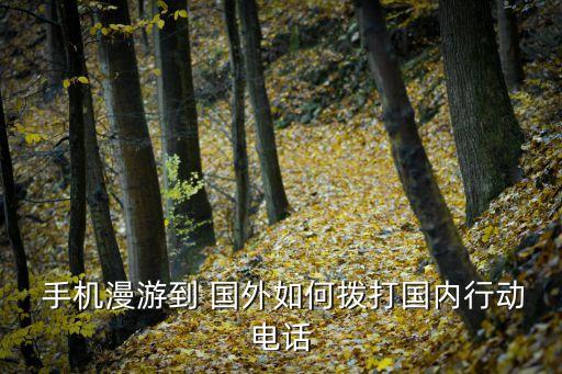  手机漫游到 国外如何拨打国内行动电话