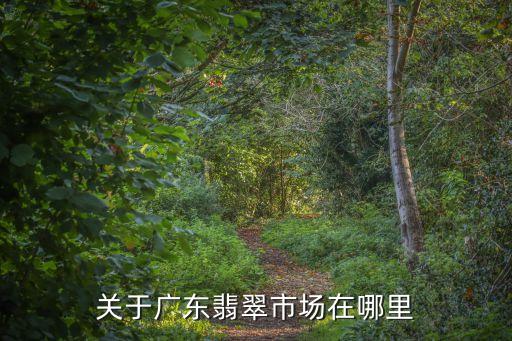 关于广东翡翠市场在哪里