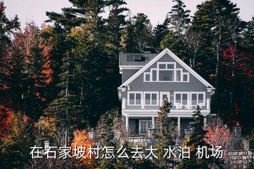 在石家坡村怎么去大 水泊 机场