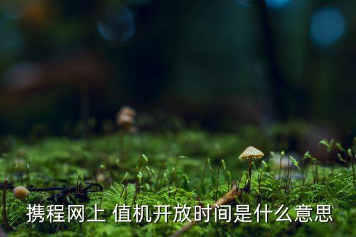 携程国际机票值机,国际机票提前多久值机