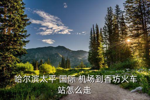 哈尔滨机场国际到达出口