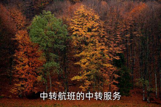 中转航班的中转服务