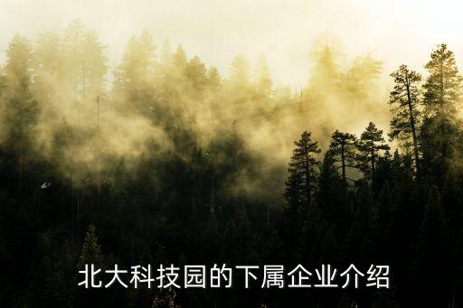  北大科技园的下属企业介绍