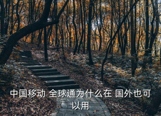 中国移动 全球通为什么在 国外也可以用