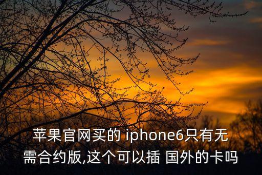 iphone6国行能用国外的电话卡么