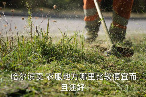  哈尔滨卖 衣服地方哪里比较便宜而且还好