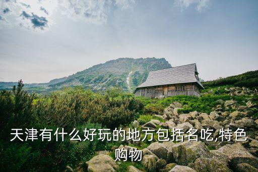 天津有什么好玩的地方包括名吃,特色购物