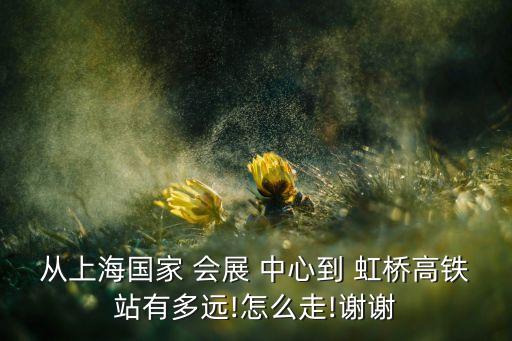 从上海国家 会展 中心到 虹桥高铁站有多远!怎么走!谢谢