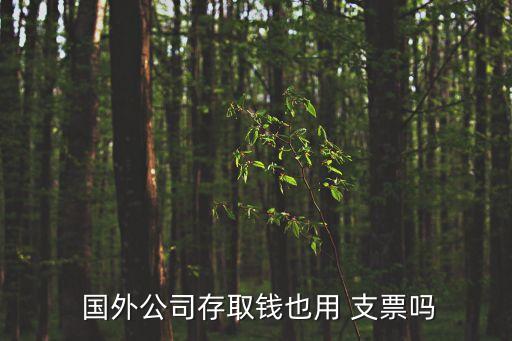 国外去银行开支票,个人可以在银行开支票吗