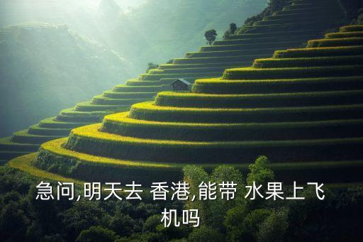 急问,明天去 香港,能带 水果上飞机吗
