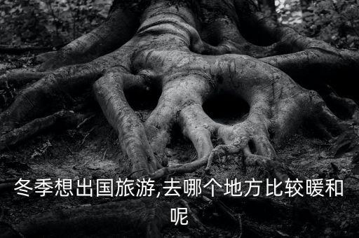 冬季想出国旅游,去哪个地方比较暖和呢