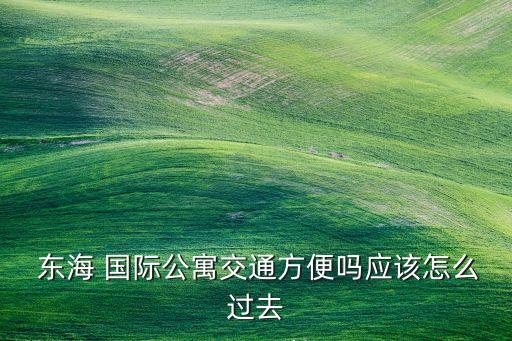  东海 国际公寓交通方便吗应该怎么过去