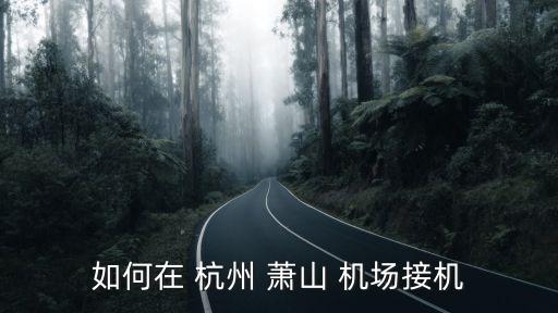 如何在 杭州 萧山 机场接机