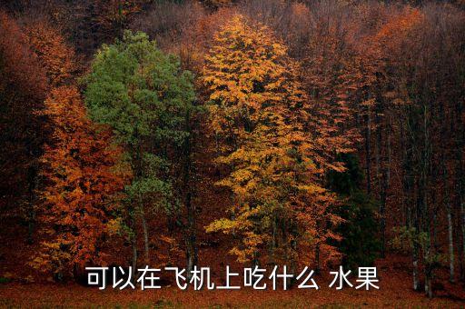 可以在飞机上吃什么 水果
