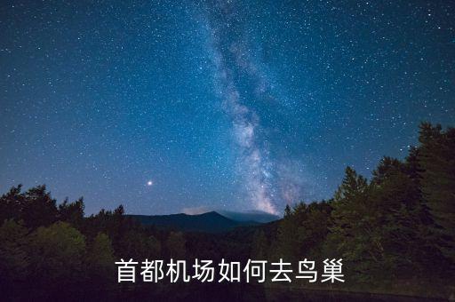  首都机场如何去鸟巢