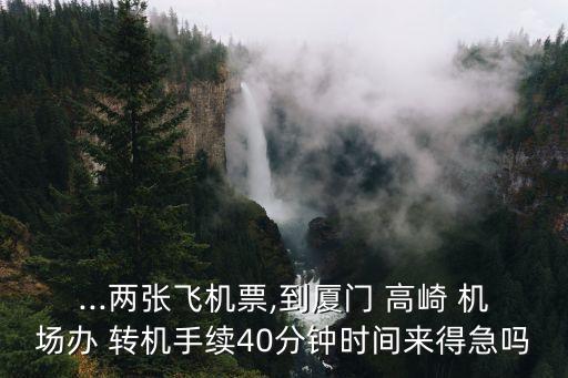 ...两张飞机票,到厦门 高崎 机场办 转机手续40分钟时间来得急吗