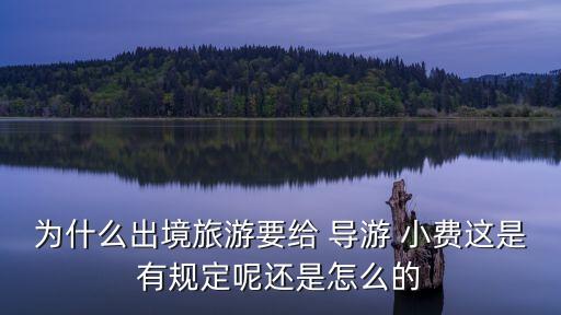 为什么出境旅游要给 导游 小费这是有规定呢还是怎么的