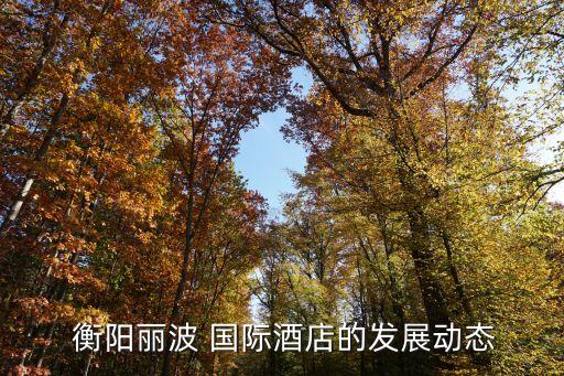  衡阳丽波 国际酒店的发展动态