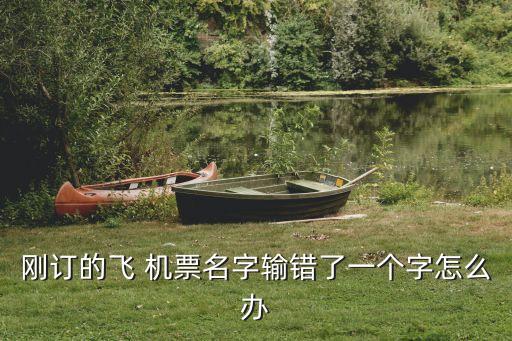刚订的飞 机票名字输错了一个字怎么办