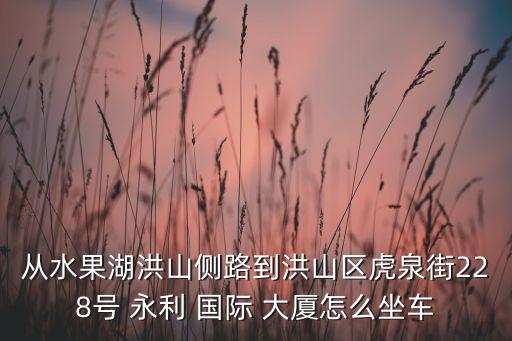 从水果湖洪山侧路到洪山区虎泉街228号 永利 国际 大厦怎么坐车