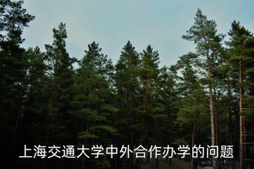 上海交通大学中外合作办学的问题