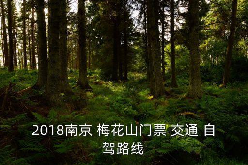 2018南京 梅花山门票 交通 自驾路线