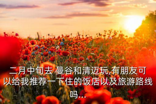 二月中旬去 曼谷和清迈玩,有朋友可以给我推荐一下住的饭店以及旅游路线吗...