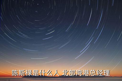 陈斯禄是什么人 北部湾港总经理