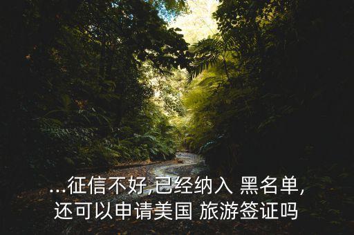 ...征信不好,已经纳入 黑名单,还可以申请美国 旅游签证吗