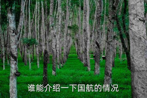 谁能介绍一下国航的情况