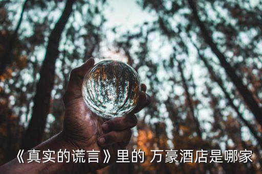 《真实的谎言》里的 万豪酒店是哪家