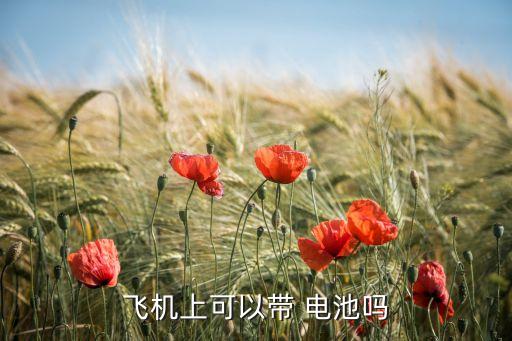 国际航班 对于电池的规定,电池可以带上国际航班吗