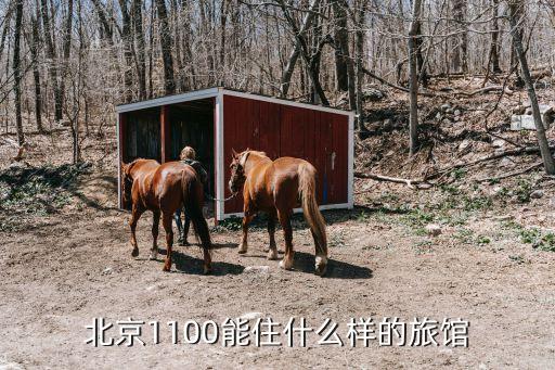 北京1100能住什么样的旅馆