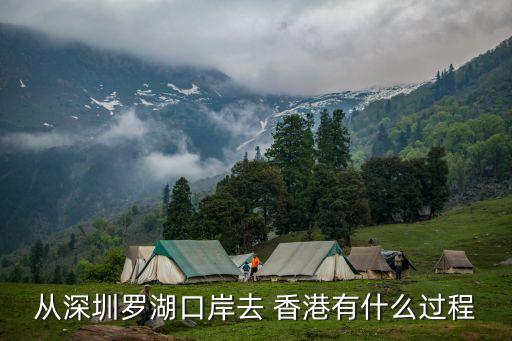 上水a43到香港国际机场