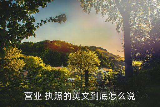 营业 执照的英文到底怎么说