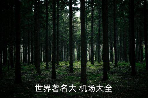 世界著名大 机场大全
