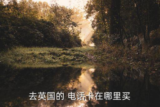 去英国的 电话卡在哪里买