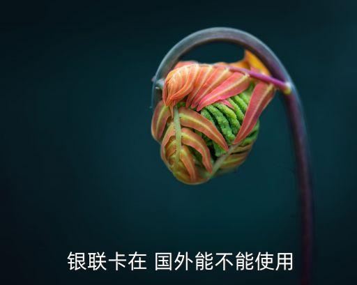 中国银行银联卡在国外消费吗