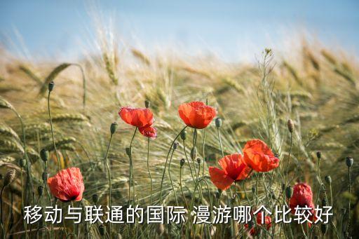 移动与联通的国际 漫游哪个比较好